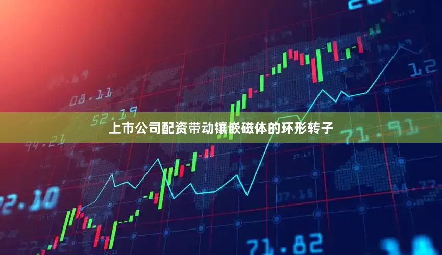 上市公司配资带动镶嵌磁体的环形转子