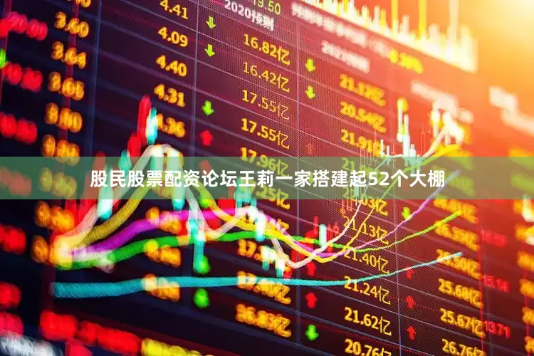 股民股票配资论坛王莉一家搭建起52个大棚