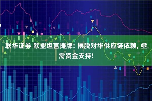 联华证券 欧盟坦言摊牌: 摆脱对华供应链依赖, 亟需资金支持!