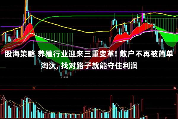 股海策略 养殖行业迎来三重变革! 散户不再被简单淘汰, 找对路子就能守住利润