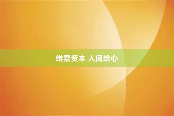 维嘉资本 人间绘心