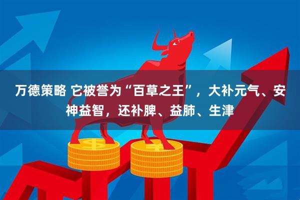 万德策略 它被誉为“百草之王”，大补元气、安神益智，还补脾、益肺、生津
